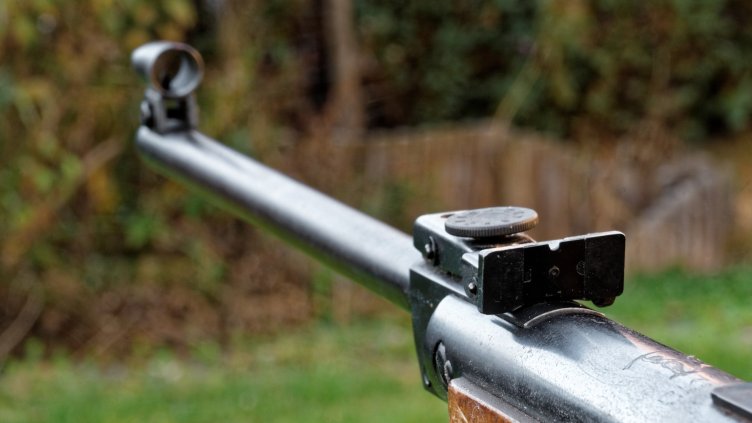 Снимка: Pixabay/Bru-nO