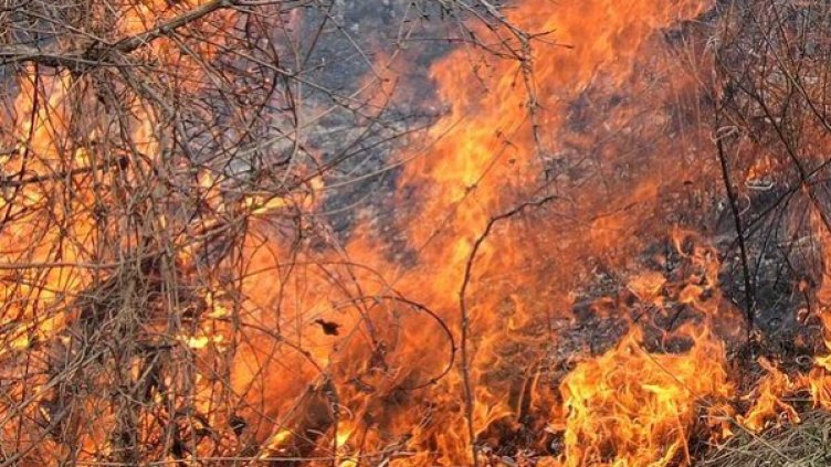 Възрастен мъж почина при пожар. Снимка: архив, Булфото