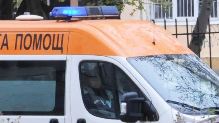 Снимка: Булфото