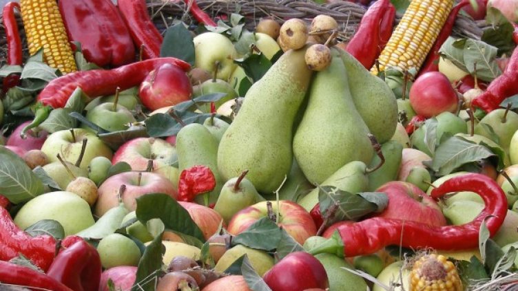 Снимка: Impact Press Group - архив