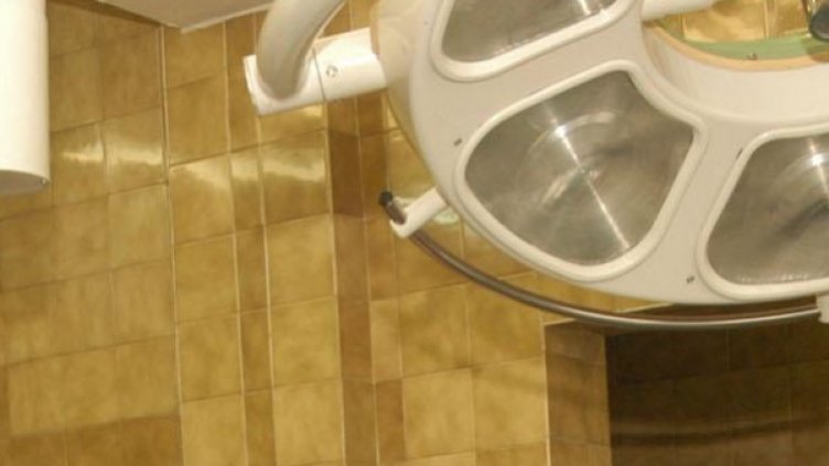 Снимка: БулФото - архив