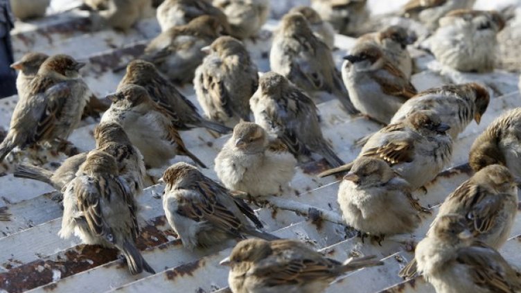 Снимка: Архив Reuters