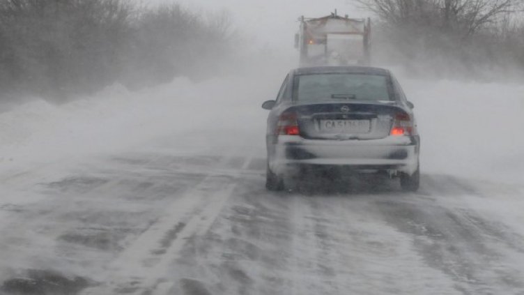Снимка: Архив Булфото