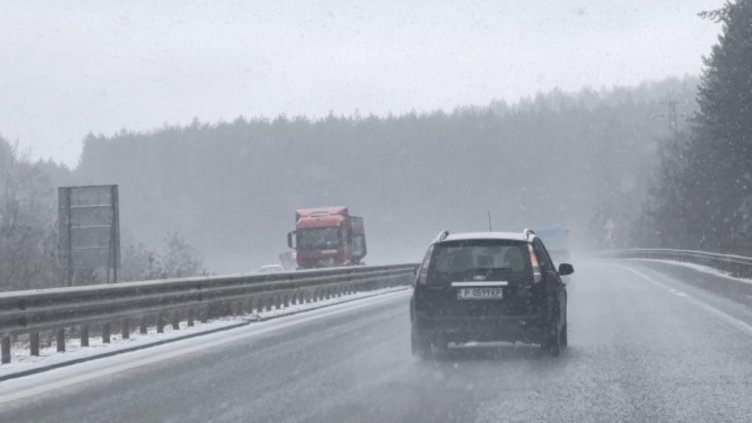 Снимка: архив, БГНЕС