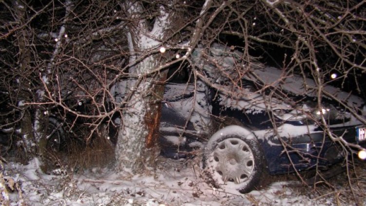 Снимка: Архив Impact Press Group