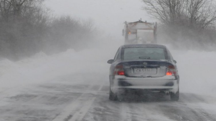 Снимка: Архив Булфото