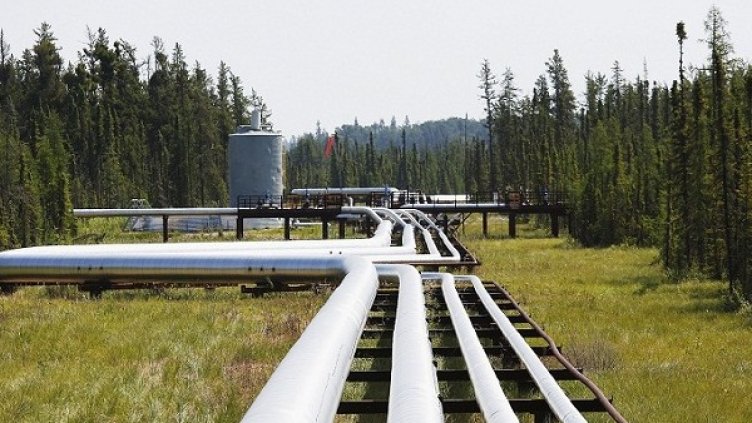 Снимка: архив Reuters