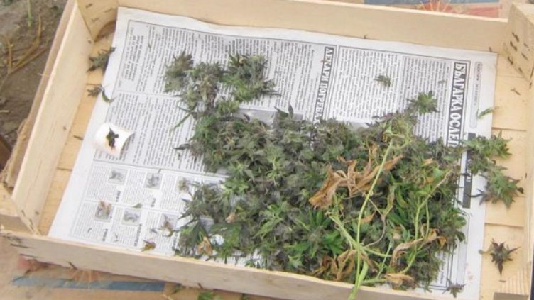 Снимка: архив Булфото