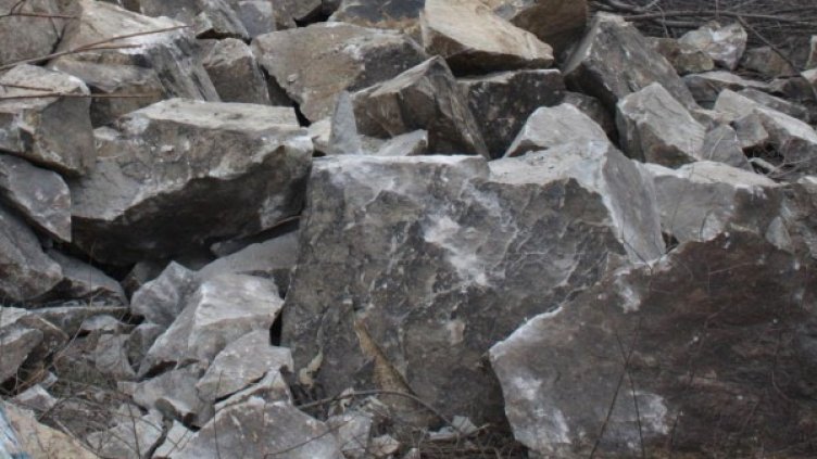 Снимка: архив, Булфото