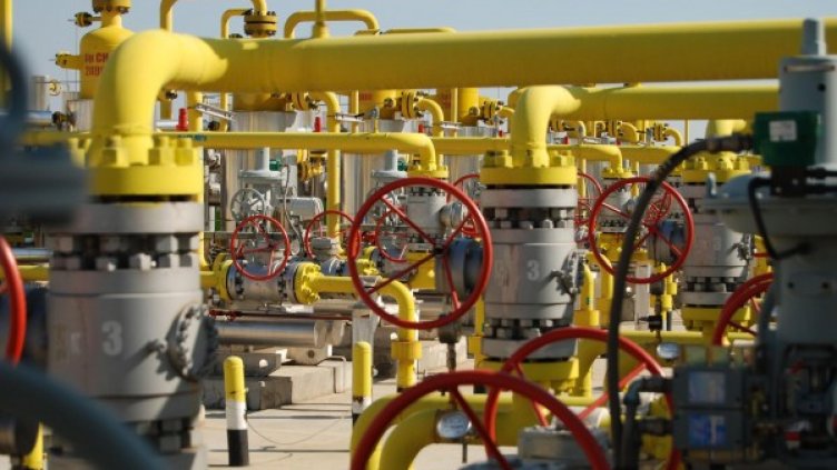 Снимка: БулФото - архив