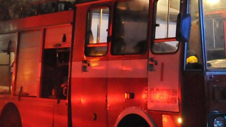 Снимка: архив, Булфото