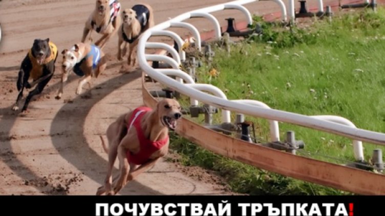 Снимка: Еврофутбол