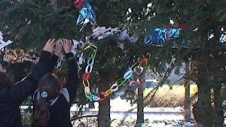 Предколедно украсиха парк в Хасково
