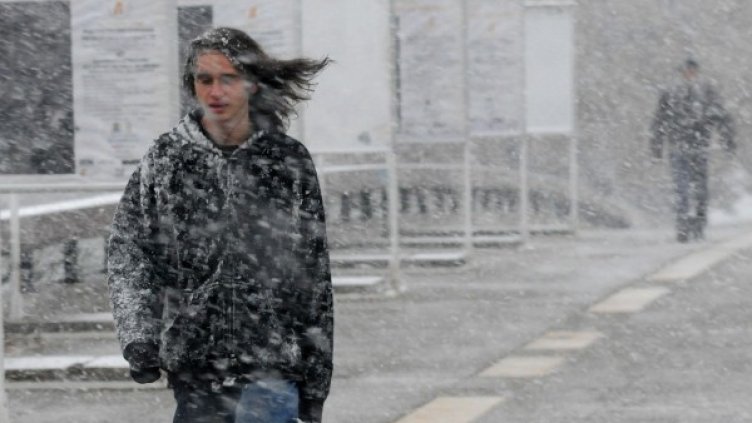 Снимка: архив Булфото