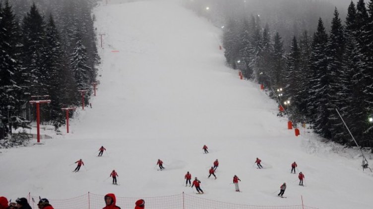 Снимка: архив Булфото