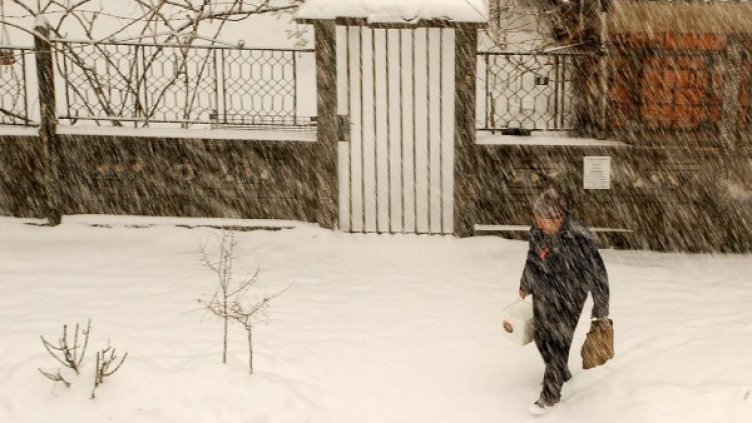 Снимка: архив Булфото