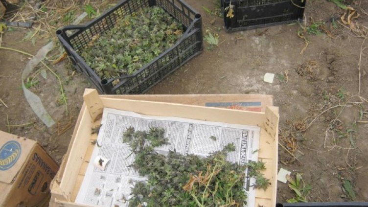 Снимка: архив Булфото