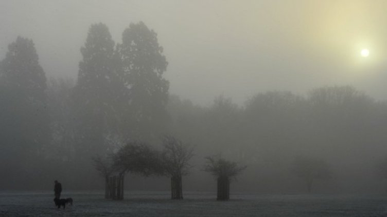 Ричмънд парк е потънал в мъгла. Снимка: архив, Reuters