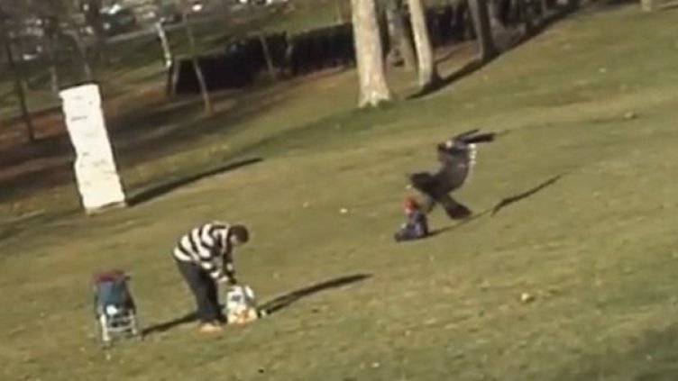 Снимка: YouTube