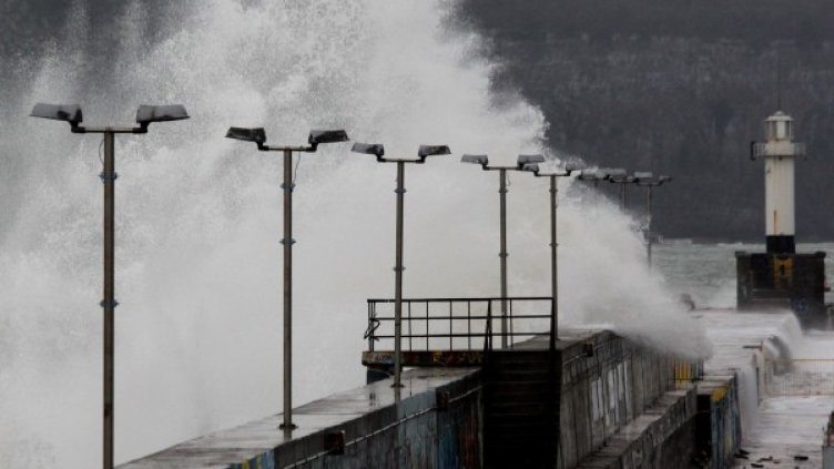 Снимка: Impact Press Group