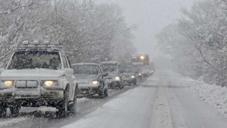 Снимка: Булфото