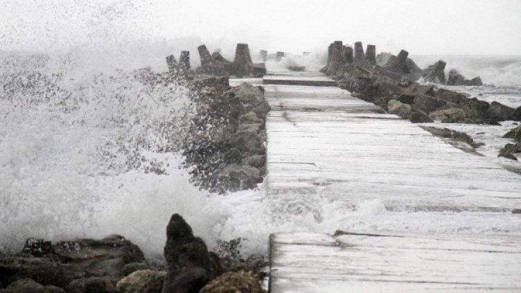 Снимка: Булфото