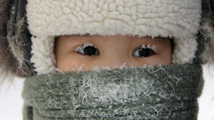 Годината в снимки - февруари