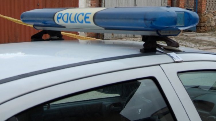 Снимка: БулФото - архив