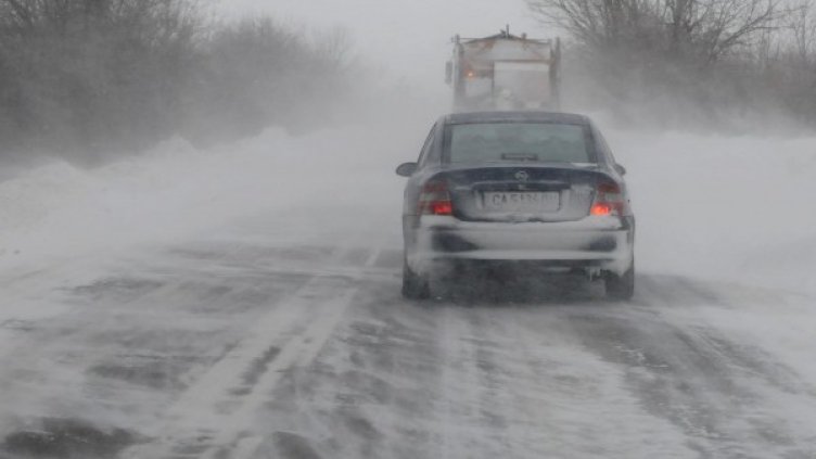 Снимка: Архив Булфото