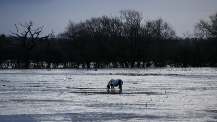 Снимка: Reuters