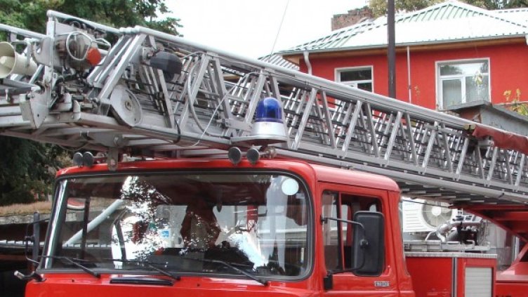 Снимка: Архив Булфото