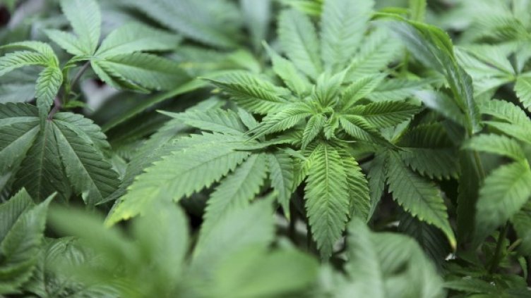 Снимка: архив, Reuters