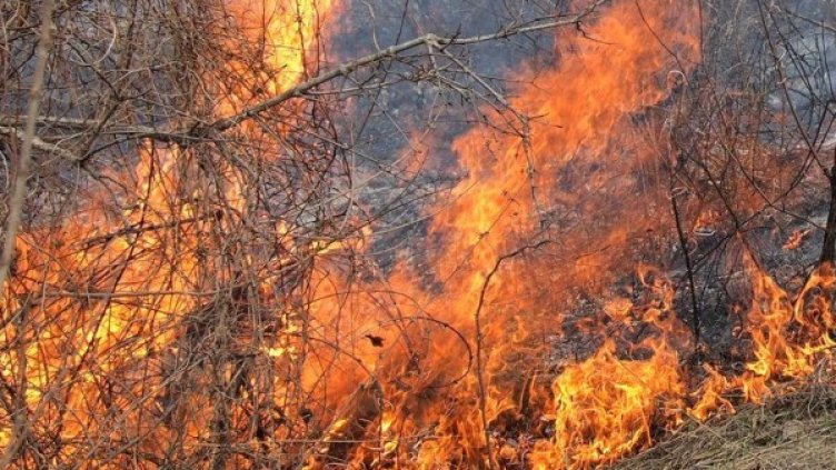 Мъж загина при пожар в Алфатар. Снимка: архив, Булфото