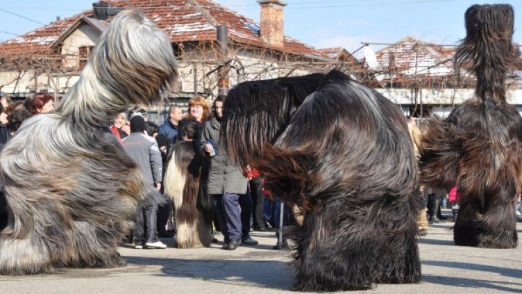 Снимка: архив, Булфото