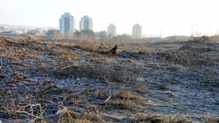 Спорният имот край Несебър. Снимка: БТА