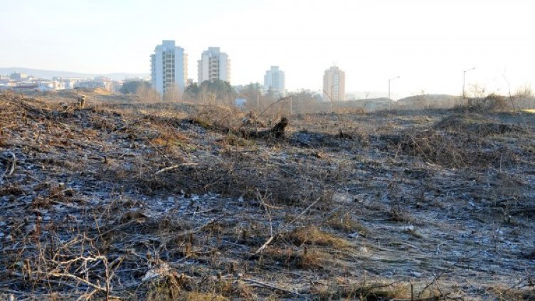 Спорният имот край Несебър. Снимка: БТА