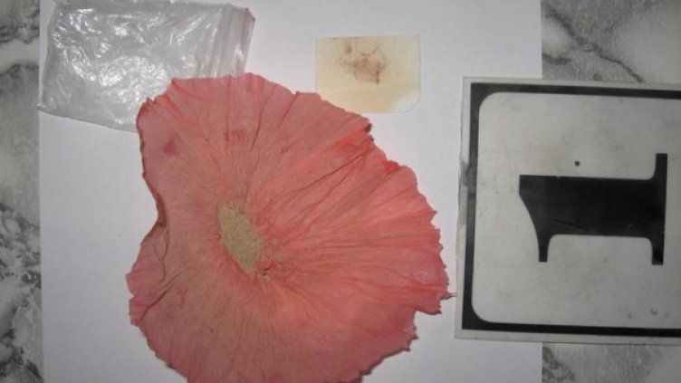 Снимка: Архив МВР