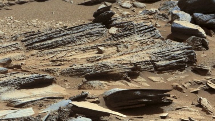 Снимка: NASA/Reuters