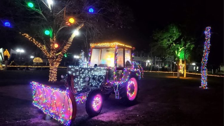 Илона Огнянова, Facebook