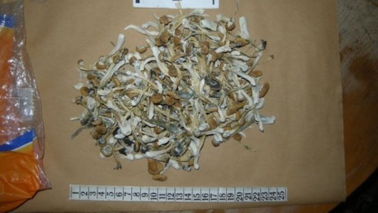 Снимка: Мвр