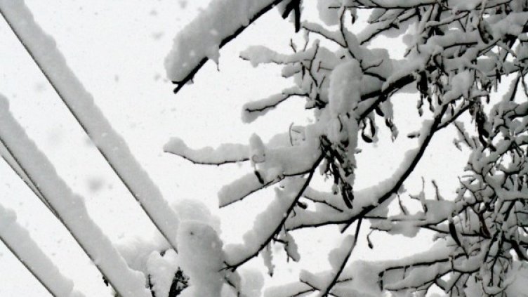 Снегът създаде проблеми с тока в смолянски села. Снимка: БТА