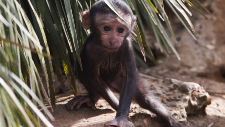 Снимка: архив, Reuters