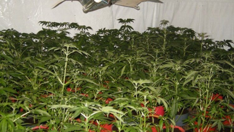 Снимка: Архив МВР