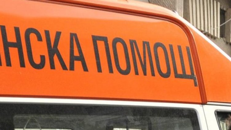 Снимка: БулФото - архив