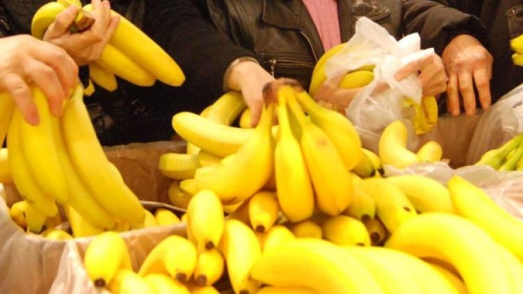 Снимка: Архив Булфото