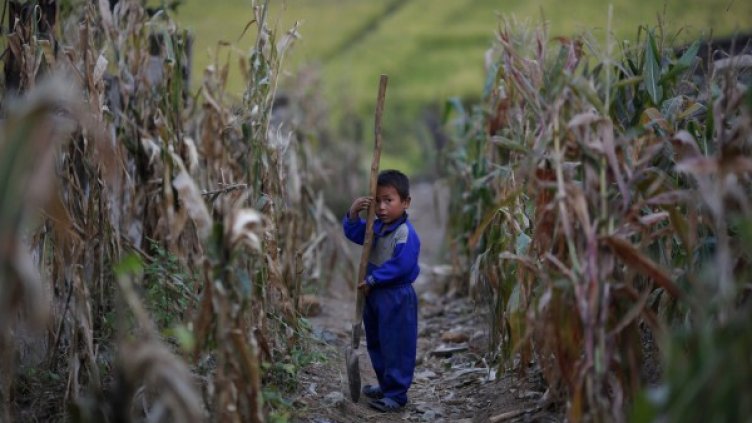 Хиляди се умрели от глад в северна Корея, твърди японски доклад. Снимка: архив, Reuters