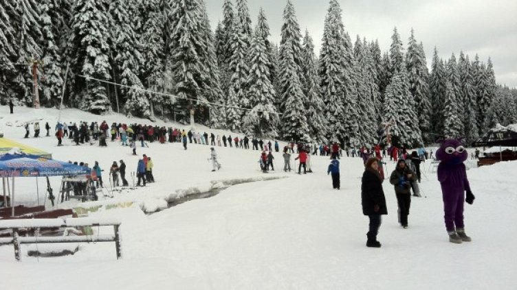 Снимка: мРепортер