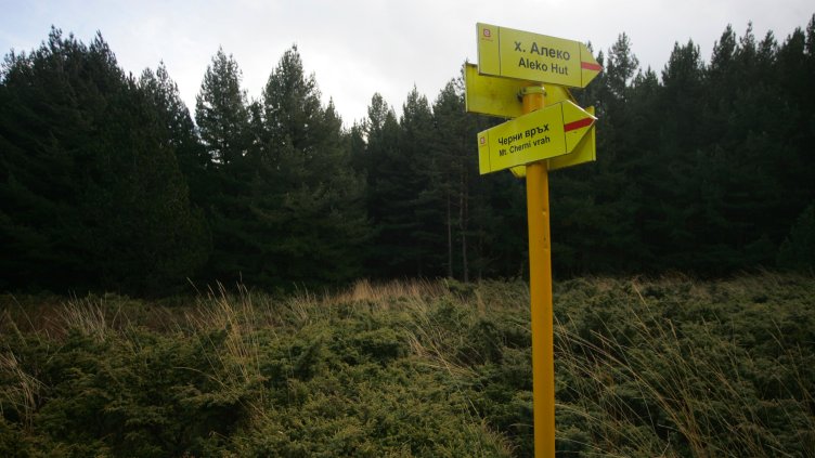 Снимка: БГНЕС