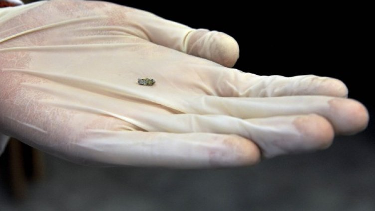 Снимка: Reuters