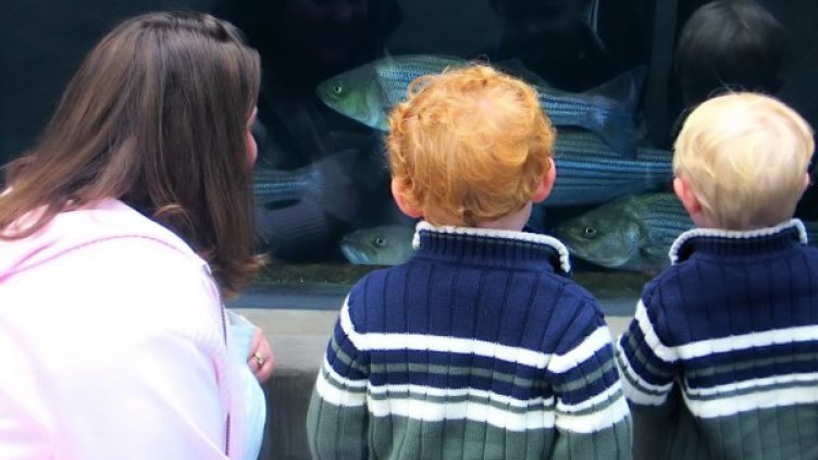 Снимка: Sxc.hu